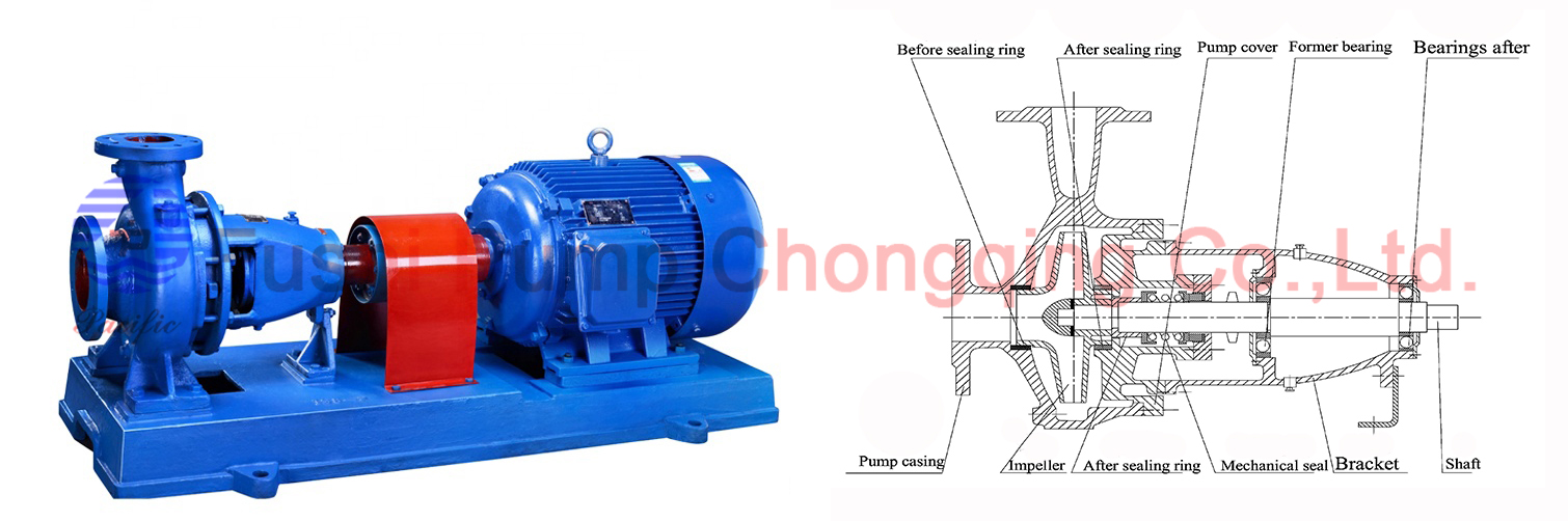 CIS Marine Horizontal Centrifugal Fire-drawing 3.jpg